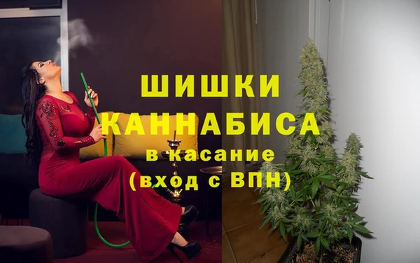 амф Медвежьегорск