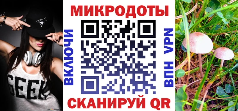 Галлюциногенные грибы MAGIC MUSHROOMS  магазин продажи наркотиков  Шилка 